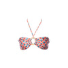 CONJUNTO FAIXA ARGOLA E ASA DELTA VINTAGE